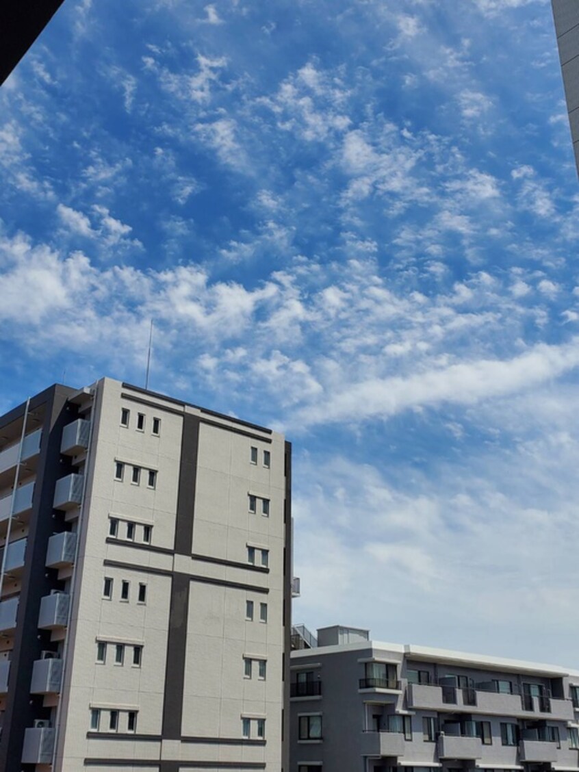 室内からの展望 ザ・パークハビオ文京江戸川橋