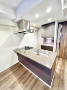 キッチン ザ・パークハビオ文京江戸川橋