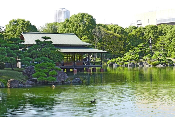 清澄庭園(公園)まで657m アーバネックス森下Ⅳ