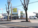 レモンふじみ野店(100均)まで370m 熊の山コ－ポ