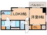 シャンノ－ル金町（３０３） 1LDKの間取り