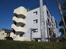 グラビスの外観