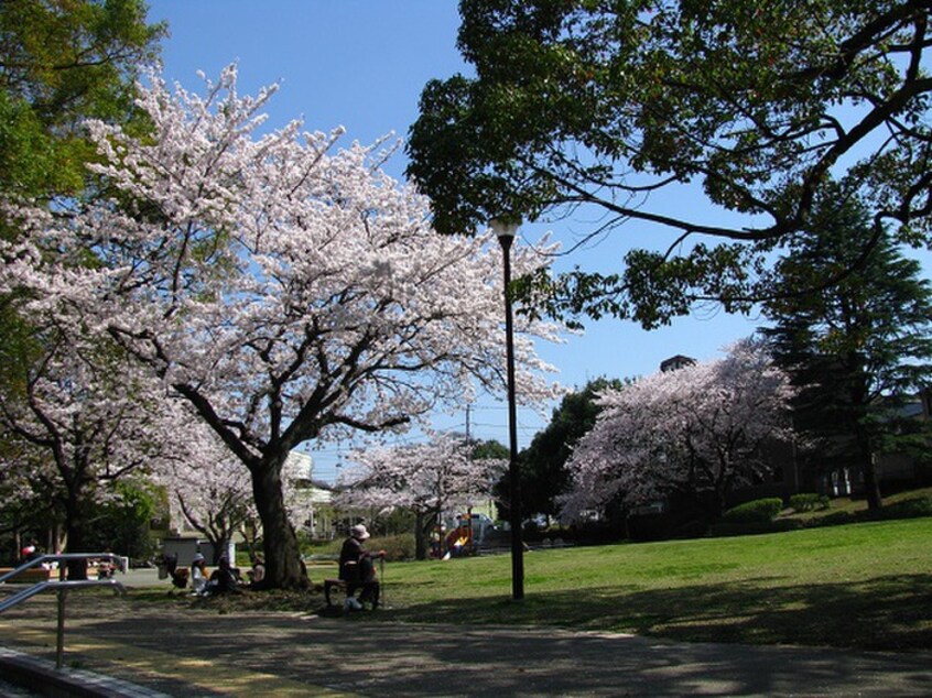 白根東公園(公園)まで270m ステ－タスしらね