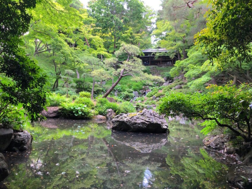 殿ヶ谷戸庭園(美術館/博物館)まで120m ﾘﾋﾞｵ国分寺ｽﾃｰｼｮﾝｱﾍﾞﾆｭｰ（1503）