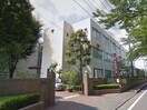 和泉短期大学(大学/短大/専門学校)まで1147m サンライズＣ