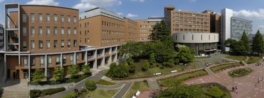 桜美林大学(大学/短大/専門学校)まで529m ビューハウス