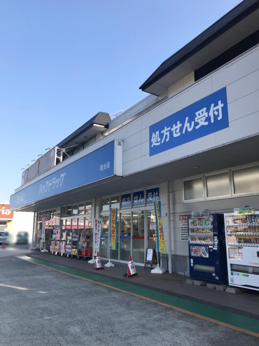 ハックドラッグ桂台店(ドラッグストア)まで350m ルーミー堀内