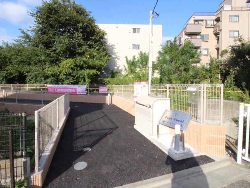 その他 ファインコーラル