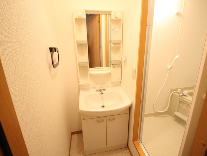 洗面 リビオン ホリ