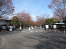私立東海大学(大学/短大/専門学校)まで470m ハイツヤナ第二