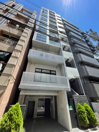 ELVITA SUGAMO