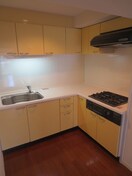 キッチン 田端むつみ公園前マンション