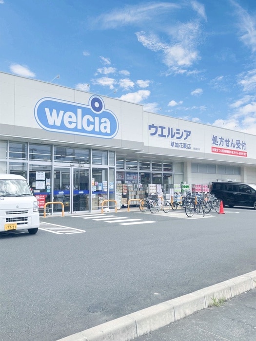 ウエルシア草加花栗店(ドラッグストア)まで150m プラザメゾン