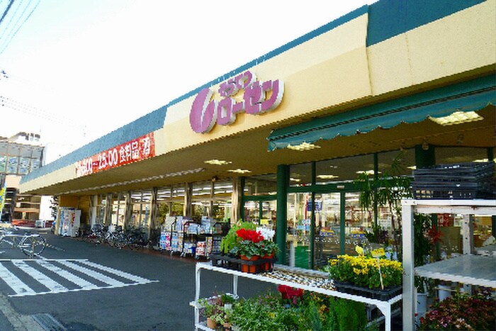 相鉄ローゼン弥勒寺店(スーパー)まで720m コリーナグラティス湘南A棟