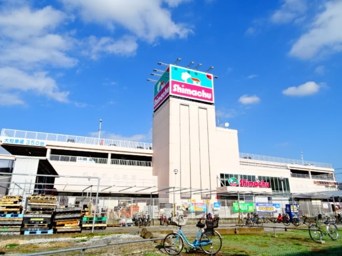 島忠海老名(ディスカウントショップ)まで280m グレ－スパレスＣ