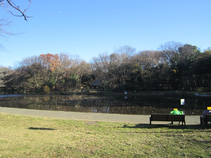 せせらぎ公園(公園)まで1100m コンドレア勝田Ａ