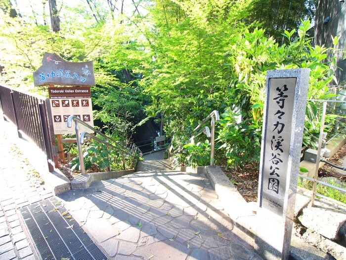 等々力渓谷(公園)まで848m ハウス今井