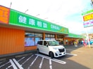 ドラッグエース 新河岸店(ドラッグストア)まで850m フラン・エスパースA