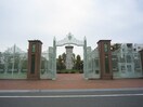 横浜薬科大学(大学/短大/専門学校)まで610m メゾン・ド・ドリーム横浜