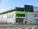 ロイヤルホームセンター(電気量販店/ホームセンター)まで1510m メゾン・ド・ドリーム横浜