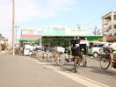 業務スーパー　金町店(スーパー)まで403m ウイステリア東金町