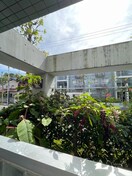 室内からの展望 ＮＯＢ　ＨＯＳＯＹＡＭＡ