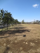 公園(公園)まで320m ハイツペガサスＡ棟