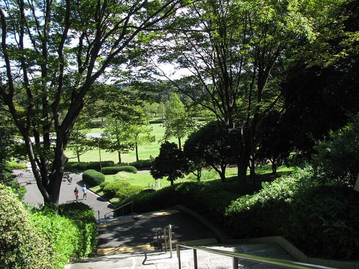 久良岐公園(公園)まで550m グレイス上大岡