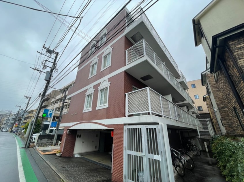 その他 ブルーリーブス