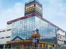 ドン・キホーテ(ディスカウントショップ)まで400m ブルーリーブス
