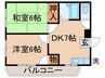 パレス金町 2DKの間取り