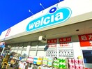 ドラッグストアウエルシア(ドラッグストア)まで303m 仮)プラネッツ
