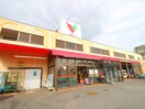 コモディイイダ 南台店(スーパー)まで260m 駒西戸建Ⅰ