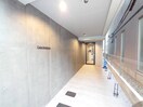 エントランス部分 Ｃｉｅｌｏ錦糸町