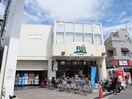 SUPER MARKET FUJI(スーパー)まで184m オリヴィオ用賀