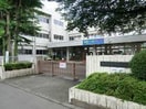 桜台小学校(小学校)まで300m ハイムさがみの園A