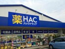 ハックドラッグ辻堂店(ドラッグストア)まで330m 辻堂ハイム