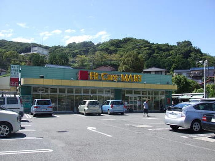Fit　Care　MART(ドラッグストア)まで300m ビナーチェ