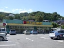 Fit　Care　MART(ドラッグストア)まで300m ビナーチェ