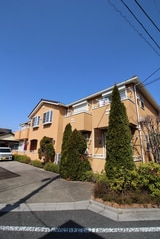 フラットコートB