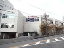 日本映画大学(大学/短大/専門学校)まで1000m レナジア東百合丘