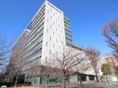 帝京平成大学(予備校)まで400m メゾン・アトラス