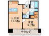 ロイジェント豊洲 1LDKの間取り