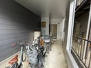 駐輪場 メゾン白樺