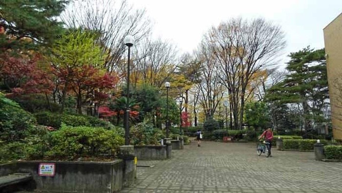 けやき公園(公園)まで600m ロイヤルキャステージ恋ヶ窪