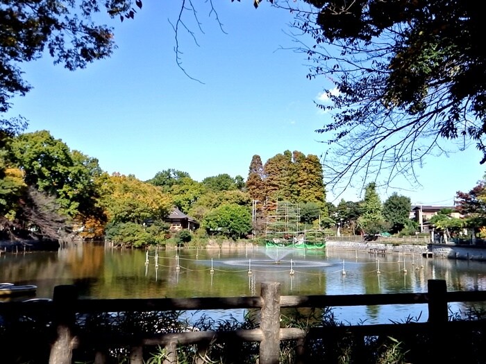 碑文谷公園(公園)まで31m パ－クハイツ碑文谷公園