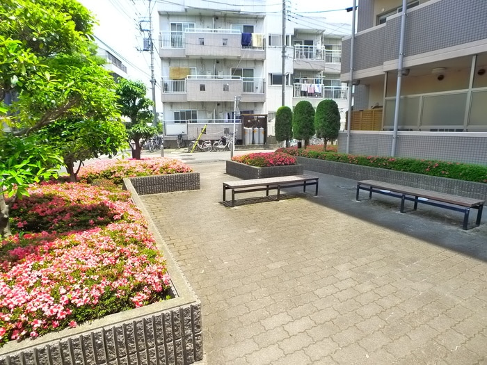 その他 フォルティーヌ皿沼