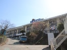 湘南病院(100均)まで260m メイプルリーフ