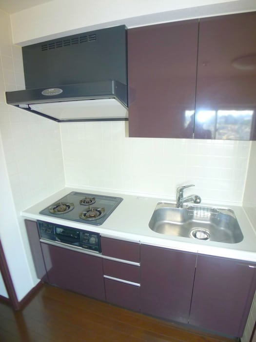 キッチン ﾊﾟﾃﾗｽｸｴｱ金町(1001)