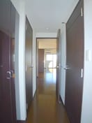 廊下 ﾊﾟﾃﾗｽｸｴｱ金町(1001)